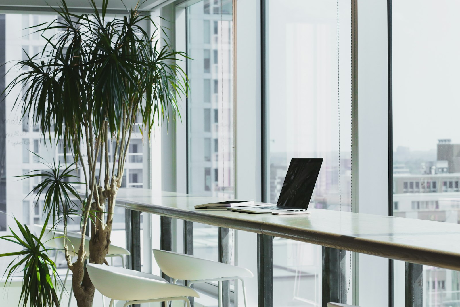 Rows of office desks with computers and plants